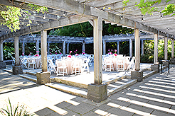 LOVE IN BLOOM AT WISTERIA HALL